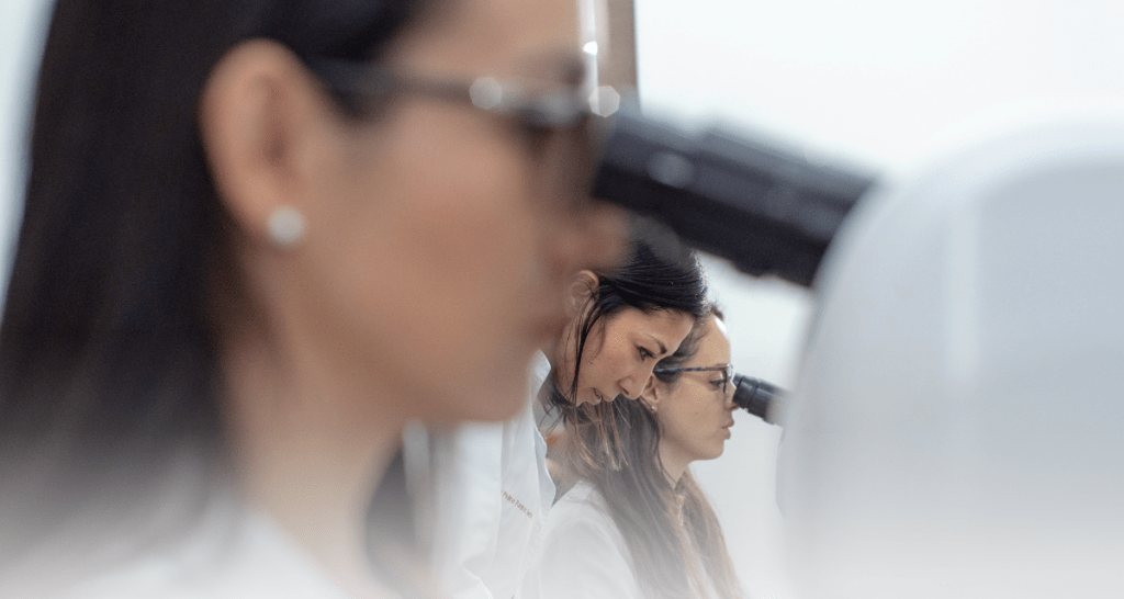 Comité de investigación Academia 2