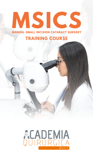 Curso de entrenamiento MSICS IMO Queretaro