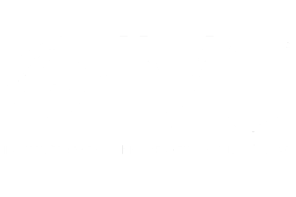 Curso MSICS IMO 2024