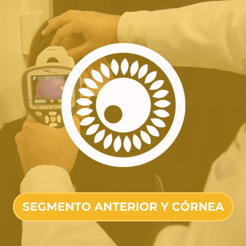 Especialistas en Segmento anterior y cornea IMO Queretaro