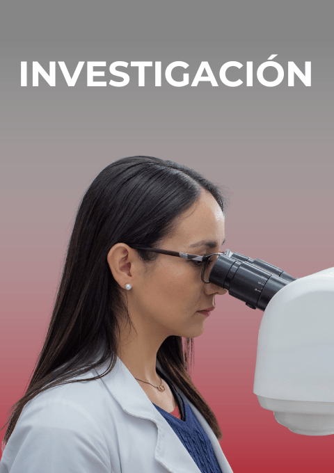 INVESTIGACION somos IMO