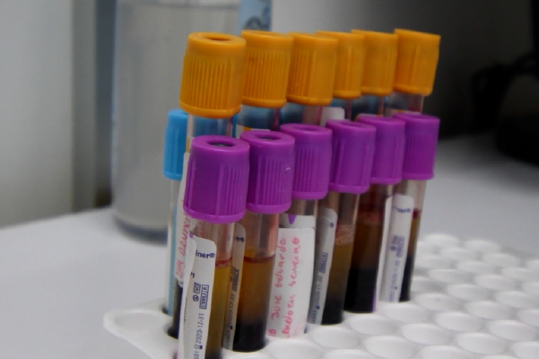 Laboratorio